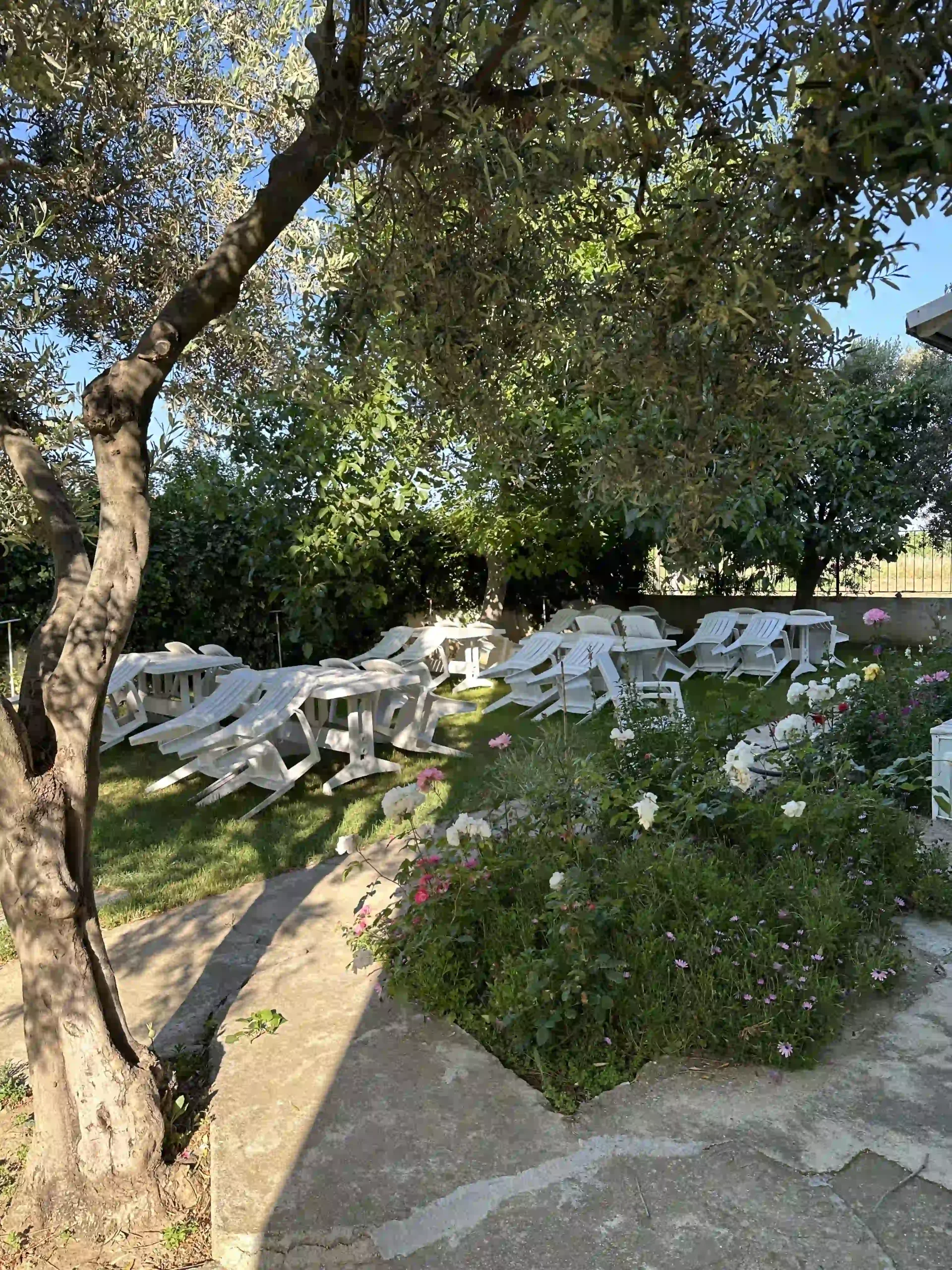 Şarköy Pansiyon Bahçe Kahvaltı